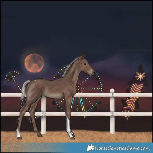Horse Color:Silver Black Tobiano