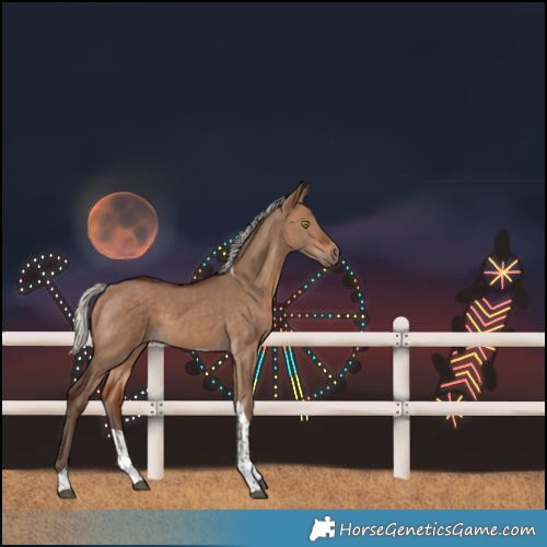 Horse Color:Silver Bay Dun Tobiano 