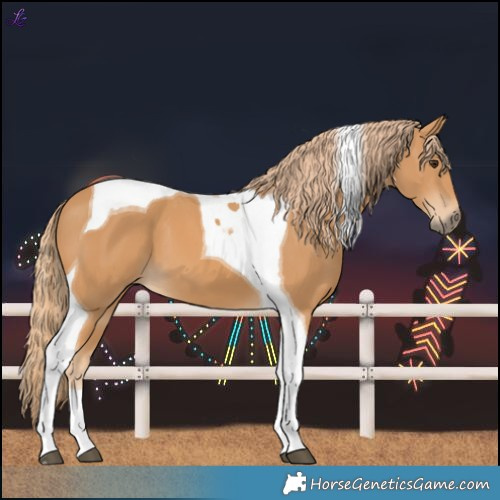 Horse Color:Chestnut Tobiano 