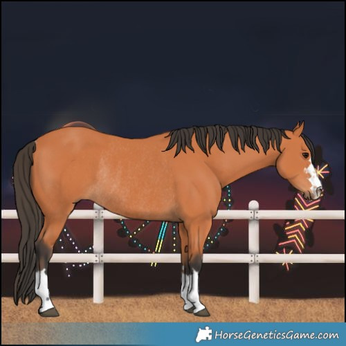 Horse Color:Bay Rabicano