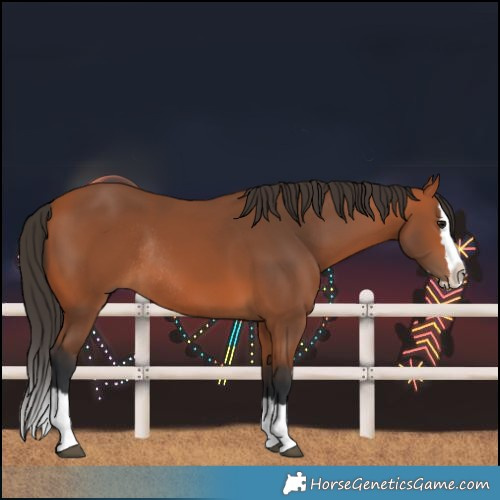 Horse Color:Bay Splash Rabicano
