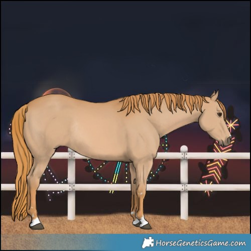 Horse Color:Chestnut Rabicano 