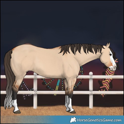 Horse Color:Bay Dun Splash 