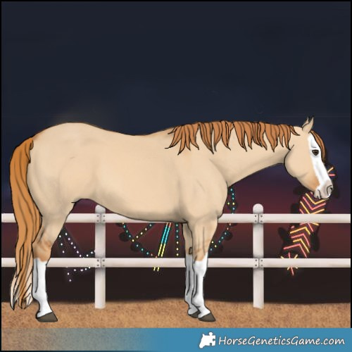 Horse Color:Red Dun Splash