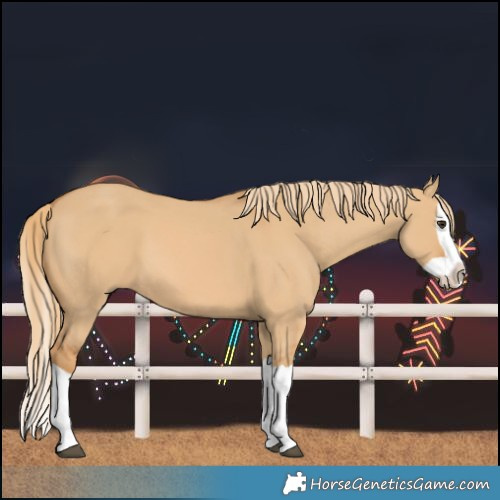 Horse Color:Red Dun Splash