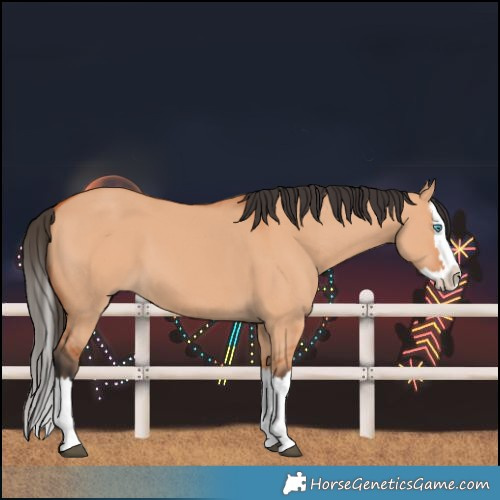 Horse Color:Bay Dun Splash