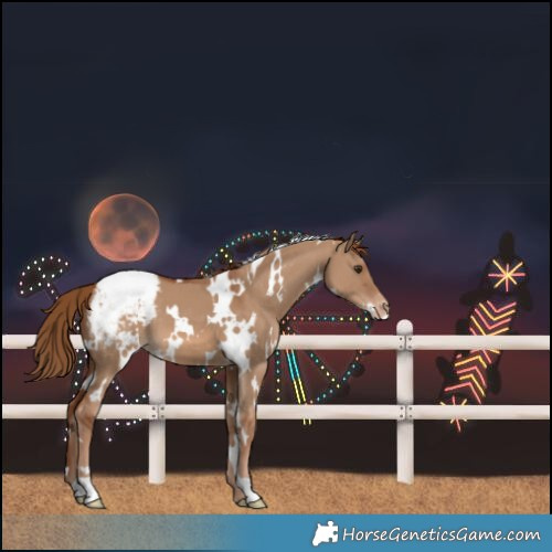 Horse Color:White Spotted Red Dun Varnish 
