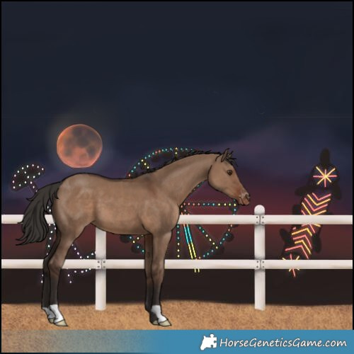 Horse Color:Liver Red Dun Varnish