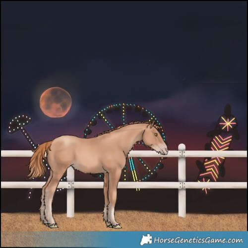 Horse Color:Gold Champagne