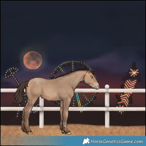 Horse Color:Amber Champagne 