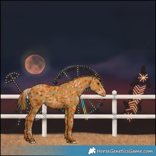 Horse Color:Classic Champagne 