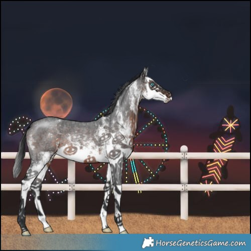 Horse Color:White Spotted Brown Roan Splash 
