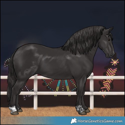 Horse Color:Smoky Black  and Smoky Black 