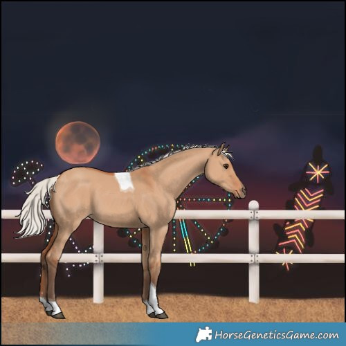 Horse Color:Silver Bay Dun Tobiano Rabicano 