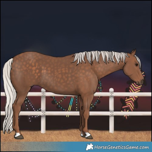 Horse Color:Silver Black