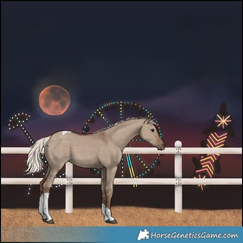 Horse Color:Silver Grullo Tobiano 