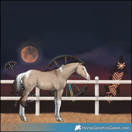 Horse Color:Bay Dun Splash Tobiano 