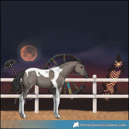 Horse Color:Grullo Tobiano 