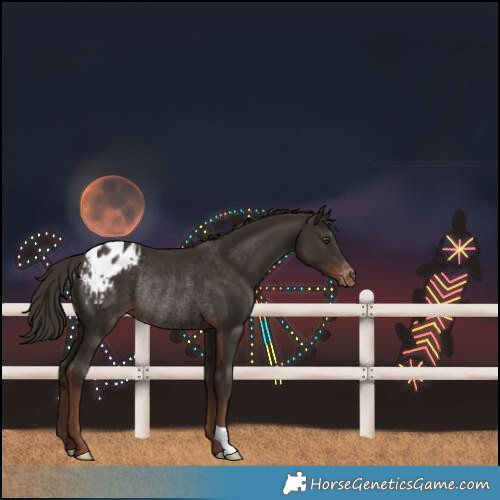 Horse Color:Liver Chestnut Varnish Rabicano 