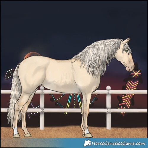 Horse Color:Gold Cream Champagne Dun 