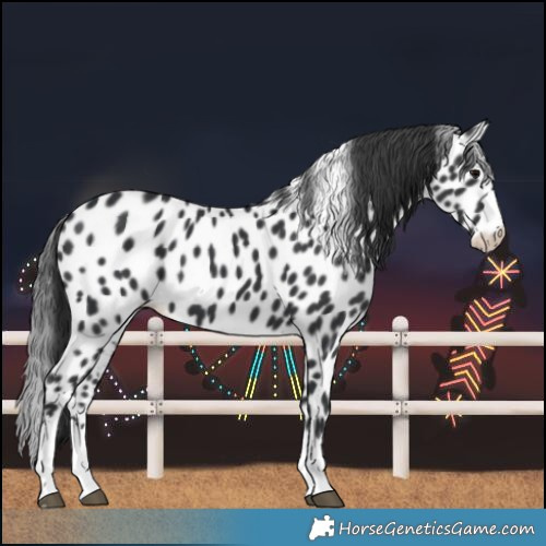 Horse Color:Black Leopard 