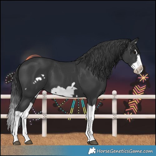 Horse Color:Black Splash Frame