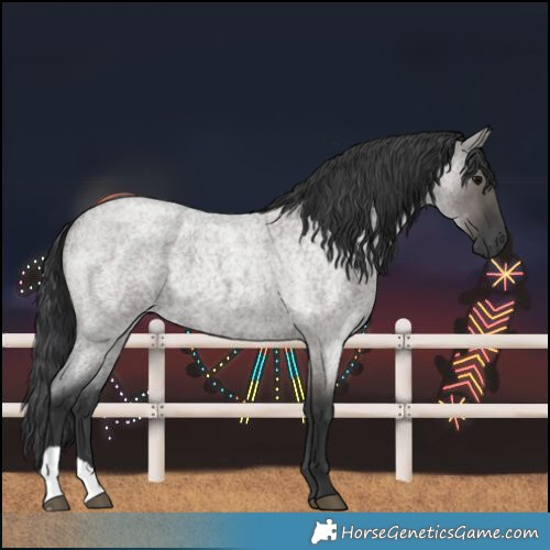 Horse Color:Grullo Roan 