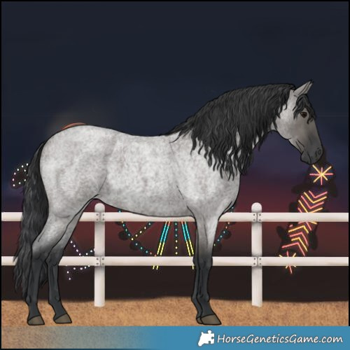 Horse Color:Grullo Roan 