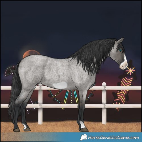 Horse Color:Grullo Roan Frame