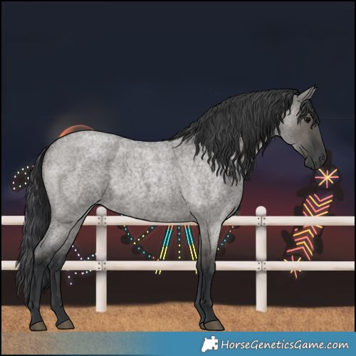 Horse Color:Grullo Roan 