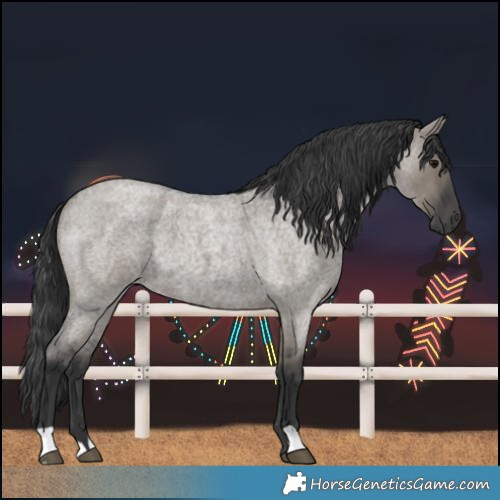 Horse Color:Grullo Roan 