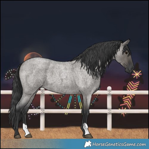 Horse Color:Grullo Roan 