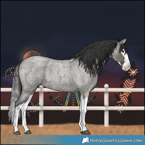 Horse Color:Grullo Roan Splash