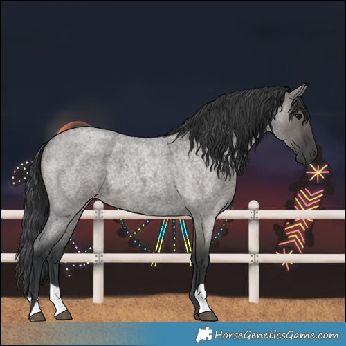 Horse Color:Grullo Roan 