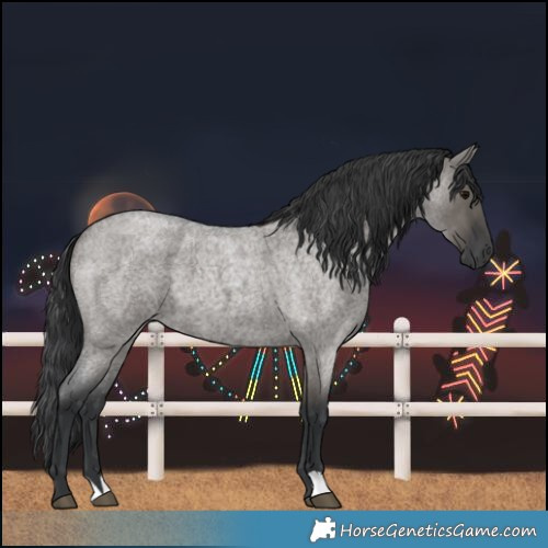 Horse Color:Grullo Roan 