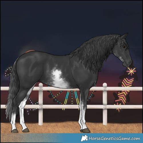 Horse Color:White Spotted Black