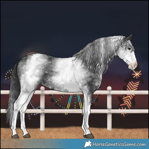 Horse Color:White Spotted Black 