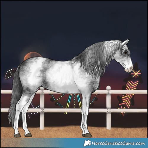 Horse Color:White Spotted Black 