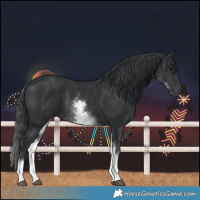 Horse Color:White Spotted Black 