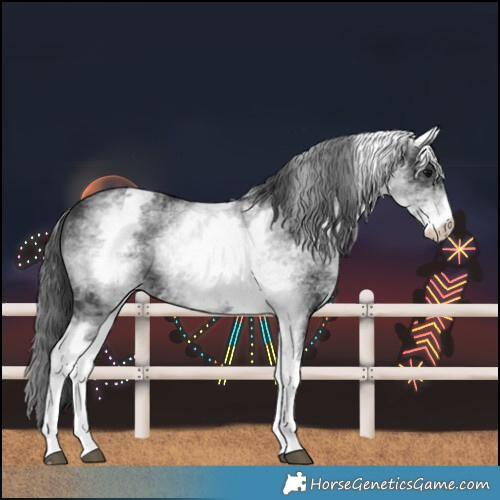 Horse Color:White Spotted Black 