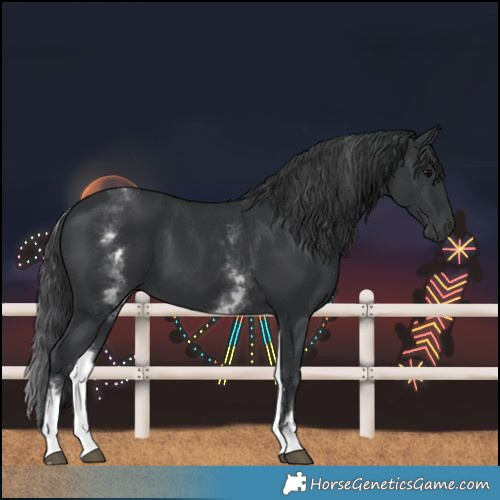 Horse Color:White Spotted Black