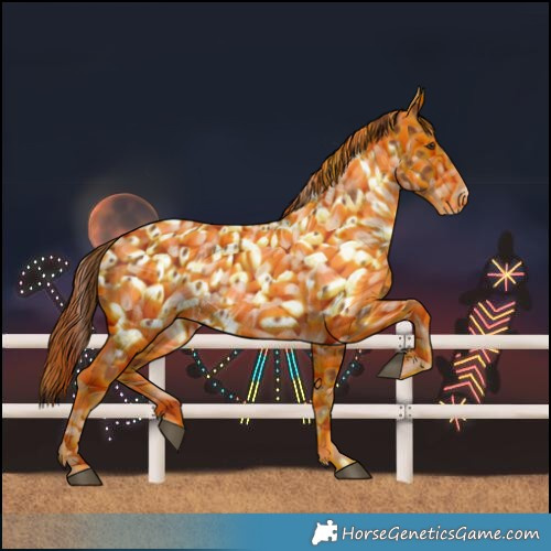 Horse Color:Chestnut Near Leopard