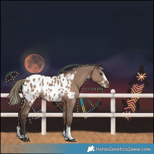 Horse Color:Liver Red Dun Mushroom Sabino Blanket