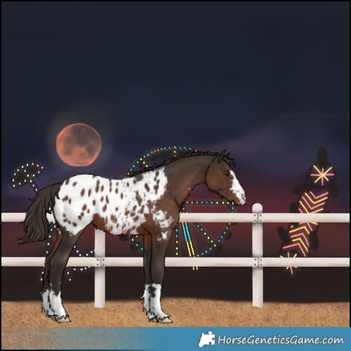 Horse Color:Liver Chestnut Blanket 