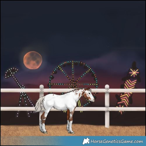 Horse Color:White Spotted Silver Bay Splash Near Fewspot 