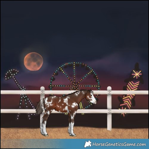 Horse Color:White Spotted Liver Chestnut Splash 