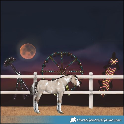 Horse Color:White Spotted Liver Red Dun Roan Splash 