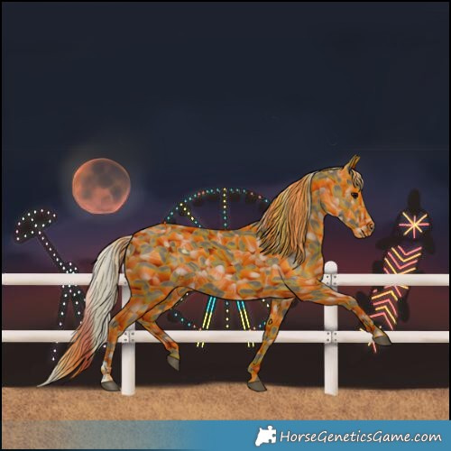 Horse Color:Silver Black 