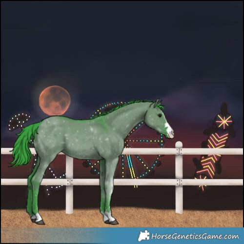 Horse Color:Watercolor Grullo 