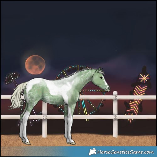 Horse Color:Watercolor Silver Black Ice Tobiano 